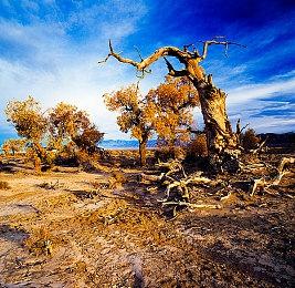 《超越善恶2》可玩性测试已开启 这款游戏还活着！